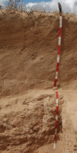 Calcic Petric Gypsisol, Tanzania	 - Blum, Schad, Nortcliff 2018: Essentials of Soil Science - ISBN 978-3-443-01090-4 - Calcic Petric Gypsisol, Tanzania, Photo: P. Schad  - Borntraeger