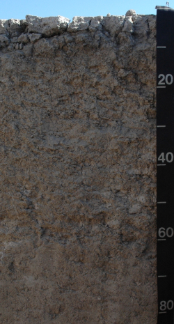 Calcic Sodic Solonchak, Mexico	 - Blum, Schad, Nortcliff 2018: Essentials of Soil Science - ISBN 978-3-443-01090-4 - Calcic Sodic Solonchak, Mexico, Photo: P. Schad  - Borntraeger