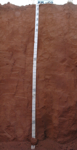 Geric Ferralsol, Brazil	 - Blum, Schad, Nortcliff 2018: Essentials of Soil Science - ISBN 978-3-443-01090-4 - Geric Ferralsol, Brazil, Photo: P. Schad  - Borntraeger