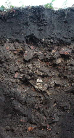 Urbic Technosol	, Poland - Blum, Schad, Nortcliff 2018: Essentials of Soil Science - ISBN 978-3-443-01090-4 - Urbic Technosol, Poland, Photo: P. Schad  - Borntraeger