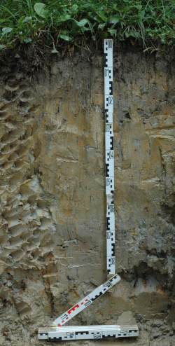 Eutric Gleysol, Switzerland - Blum, Schad, Nortcliff 2018: Essentials of Soil Science - ISBN 978-3-443-01090-4 - Eutric Gleysol, Switzerland, Photo: P. Schad - Borntraeger