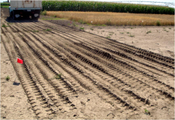 Wheel tracks from a farm truck during the compaction process in a clay loam soil.