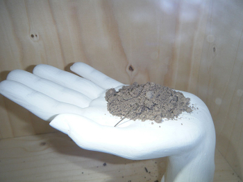 A sculpture exhibited at the South Tyrol Museum of Nature during the exhibition devoted to the soil.